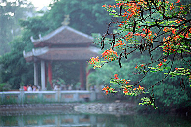 原神安柏被旅行者C出液体：《原神》玩家发现角色奇趣现象，游戏世界更神秘