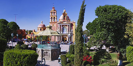 人与畜禽共性关系,人畜共融：探寻健康可持续发展之道-1