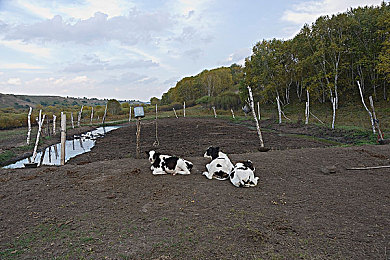 美国护士,战疫先锋：美护士的无私奉献-2