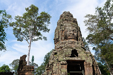 女生的坤坤的图片,蔡徐坤公益现场照走红，粉丝狂赞颜值气质-2