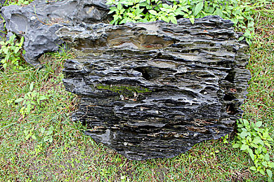八重神子奖励视频,《原神》角色更新引狂热，新技能背景故事大揭秘-2