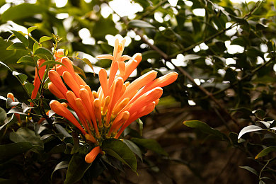 慈溪 摸奶门,商场“摸奶”事件引道德反思-3