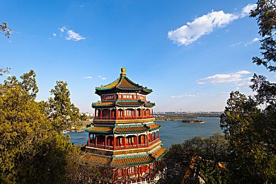 后入式动态图-4