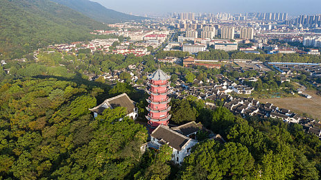 汤唯黑色大枣是啥意思,明星汤唯养生秘诀：黑色大枣功效惊人-1