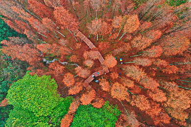 小女孩儿吃小男孩儿小叮当视频,童趣瞬间：小妹妹“咬”玩具，引发网友热议-3