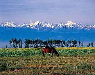 康熙来了2013,《康熙来了》2013：娱乐盛宴魅力无限-4
