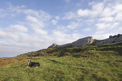 锤石符文,《英雄联盟》锤石符文大更新，团战霸主再升级-4