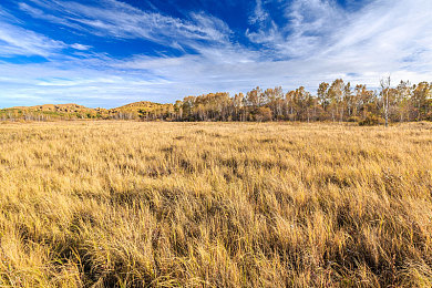 梦幻诛仙感恩礼包,《梦幻诛仙》感恩礼包来袭,福利盛宴等你来享-3