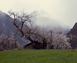 法国三部曲满天星,法国三部曲《满天星》感人故事引共鸣-3