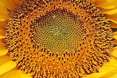 久久文化传媒有限公司招聘信息,文化传媒巨头招募精英,共绘辉煌新篇章-1