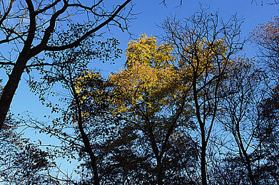 欧美金发大战黑人video：视频大战引热议，多元文化碰撞火花