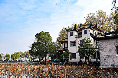 三个媳妇陈淑蓉的扮演者是谁,陈淑蓉扮演者张萌：演技精湛获好评-3