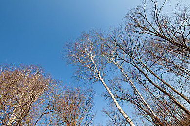 意大利销魂梦2最火的一句,梦想与享受：揭秘影视台词的深刻魅力-1