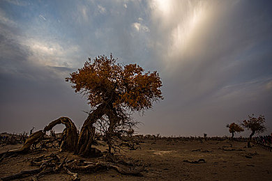 成人 网页游戏,揭秘成人网页游戏：隐秘魅力与争议并存-4