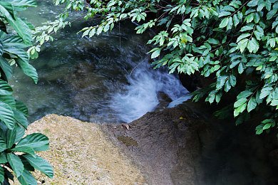 金陵十三钗bd:《金陵十三钗bd》高清上线,经典再现引热议-3