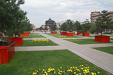 YW193龙物最新,智能家居新宠:神秘YW193引期待-1