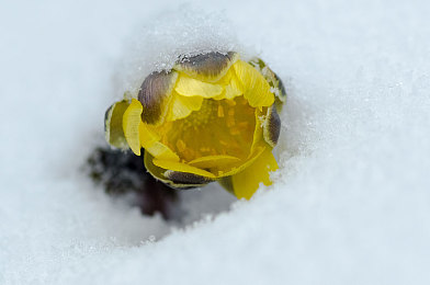 公交激战晴雪：冬日公交司机奋战雪场，守护市民出行安全-3