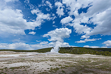 兽皇VIDEO另类HD,高清另类视频新宠，兽皇平台魅力无限-2