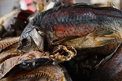 他挺进她的下身 疯狂律动：健身意外提升性能力，秘诀揭晓！-2