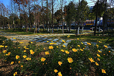 火车票取票,火车票取票新方式,出行更便捷-3