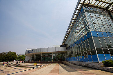 男生女生差,揭秘男女差异，构建和谐关系-3
