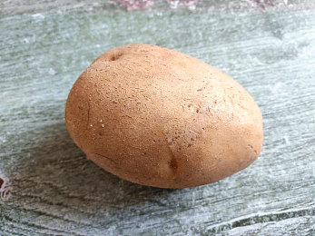 野花集,《野花集》揭示自然之美，唤起生态保护意识-2