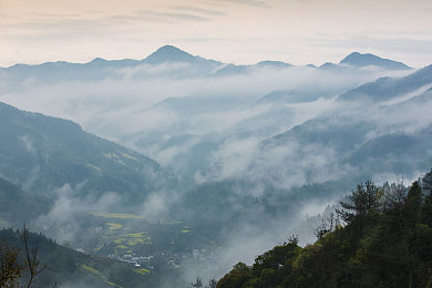 草莓汁混着S水C：都市新宠，草莓汁饮品惊艳上市-2