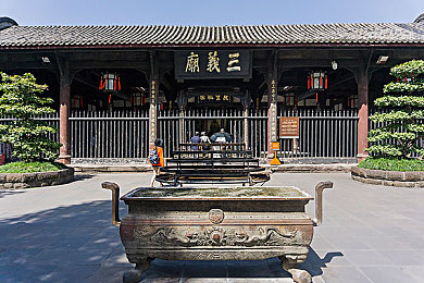 丝瓜和绿巨人蕾丝秋葵的功效,蔬果新宠：丝瓜与绿巨人秋葵，养生必备！