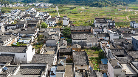无非欢爱一场,爱情密码：探寻纯粹情感之旅-3