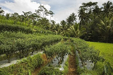 美国老师摘口罩朗读传染学生,口罩意外摘下，教师感染多名学生引关注-4