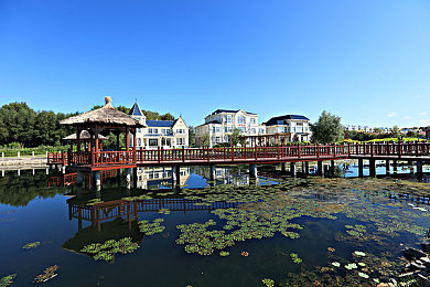 小美女娜娜：都市璀璨之星，娜娜舞动爱心公益-4