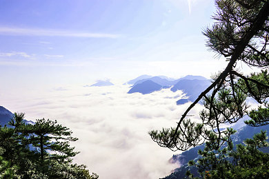 英语老师的胸怀,“爱心灯塔，张老师照亮学子未来”-1