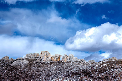 姐妹两人轮流数数姐姐数单数,姐妹默契游戏，公园里最温暖的风景-4