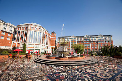 大香蕉手机在线视频,移动视频新宠，海量内容等你来享-3