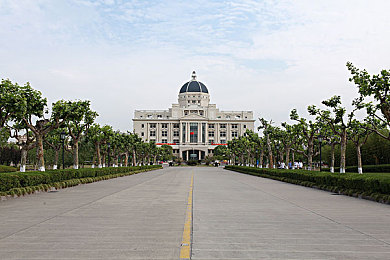 地下偶像sana,音乐世家崛起，地下偶像sana传奇故事引关注-3