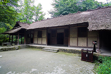 福建大菠萝官方网站,福建大菠萝官网：美味水果，健康生活新选择-1