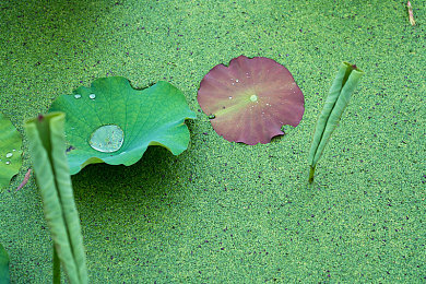 zztt黑料爆料,娱乐圈风波：神秘艺人黑料真相揭晓？-3