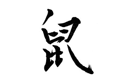 纪泽芝,企业家分享创业秘诀，揭秘成功之道-1