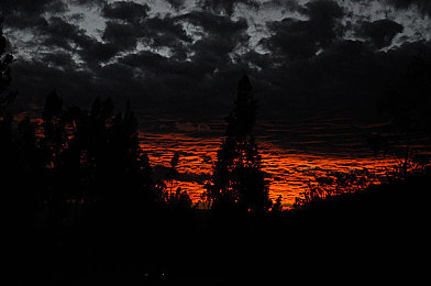 三叶草欧洲码和亚洲码怎么换算,揭秘三叶草鞋码差异，轻松购鞋攻略！-3