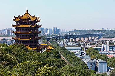 天堂中文最新版在线中文,全球热捧！全新在线中文学习平台亮相
