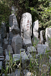风色幻想命运传说,幻想大陆冒险启程，神秘新作即将上线