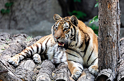 小女孩儿吃小男孩儿小叮当视频,童趣瞬间：小妹妹“咬”玩具，引发网友热议-5