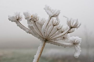 还珠格格黄化版,《还珠格格》新演绎，经典与现代的碰撞-3