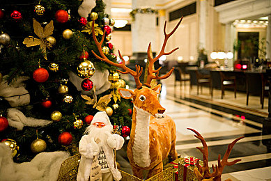 用羽毛搔乳尖到崩溃:极致触感实验:乳尖搔痒引发崩溃!-1