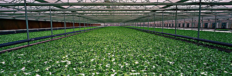 一二三产区的文化背景,探寻一二三产区：文化魅力各不同-2