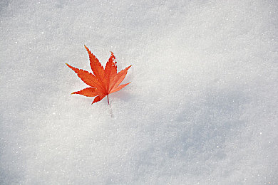 快乐大本营直播网,明星云集，直播盛宴来袭！-3