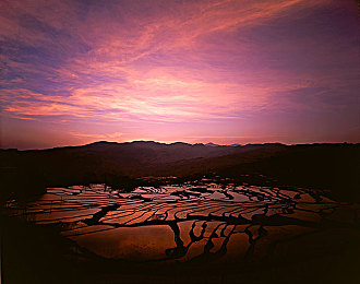 小明苏茜,创业论坛：行业领军人物揭秘成功秘诀-2