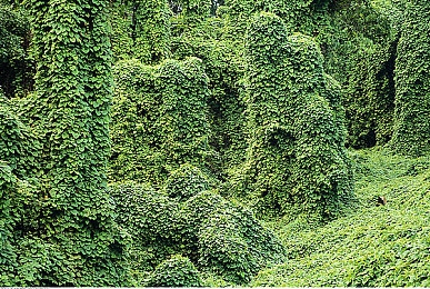 东北大坑原始激情：东北探险：原始激情，自然之美震撼心灵-4