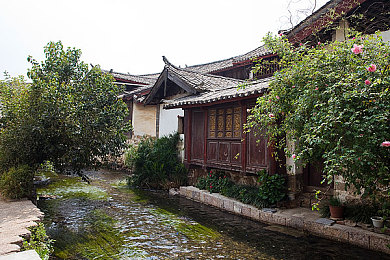 小明苏茜,创业论坛：行业领军人物揭秘成功秘诀-4