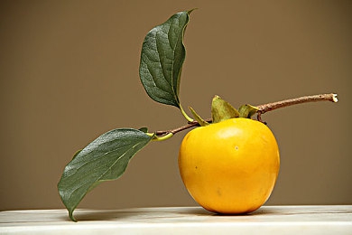 花园里的父爱回家后续怎么写,都市父亲花园送爱，父女温馨时光-5